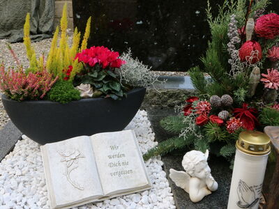 © vulkanismus - stock.adobe.com