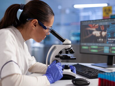 © DC Studio - stock.adobe.com