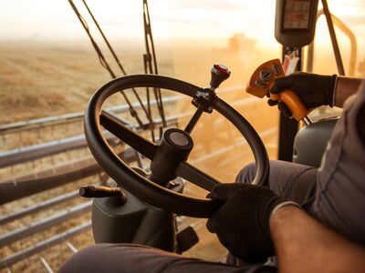 © bernardbodo - stock.adobe.com