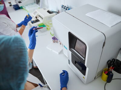 © Svitlana - stock.adobe.com